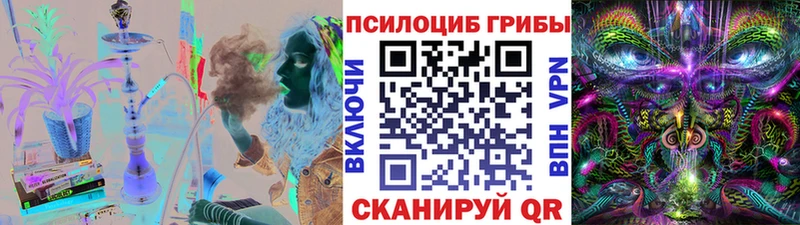 хочу   Камешково  hydra как войти  Галлюциногенные грибы Magic Shrooms 